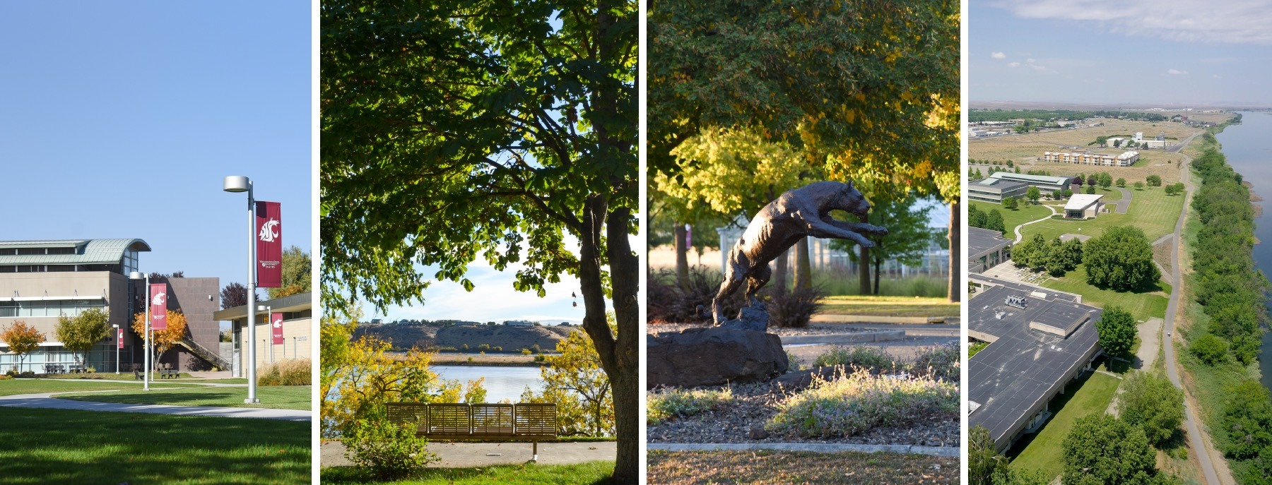 WSU TriCities apply now to earn your degree