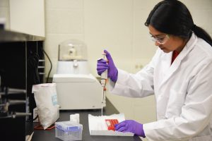 Biology student Catalina Yepez prepares a DNA sample in a lab at WSU Tri-Cities