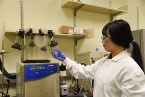 WSU Tri-Cities post-doctoral researcher Peipei Wang attaches a cellulose mixture sample to a freeze dryer to be turned into a styrofoam substitute
