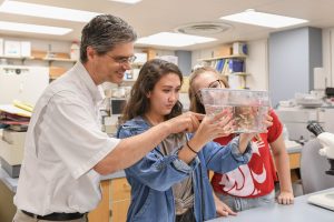 Students Ellie Barber and Danielle Ringo work with Jim Cooper, instructor of biology, in Cooper's fish laboratory as part of their Chancellor's Summer Scholars experience.