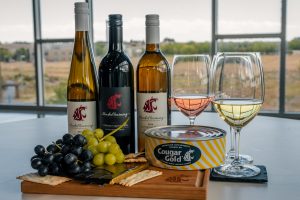 WSU Blended Learning student-made wines paired with Cougar Gold cheese 