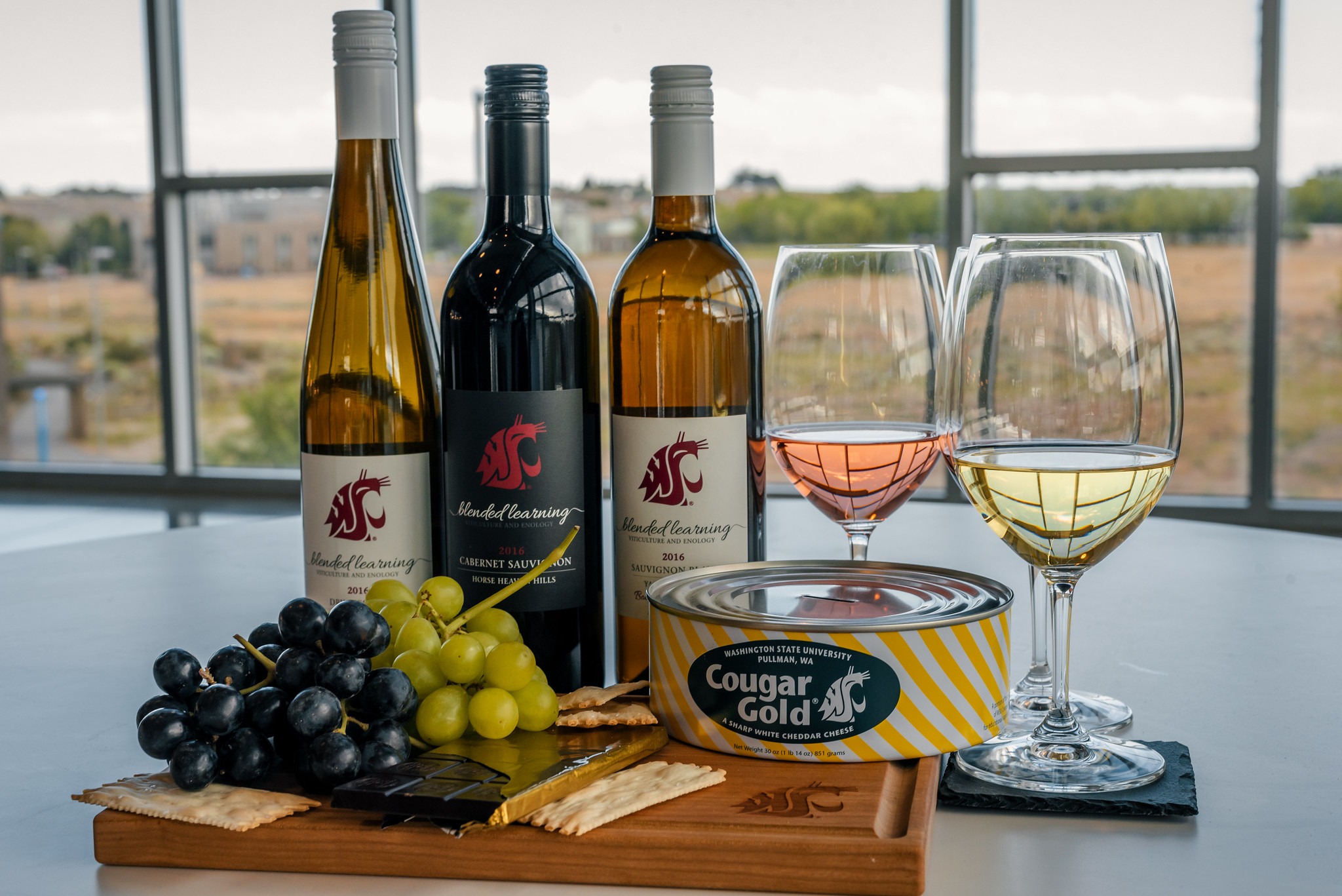 WSU TriCities launches new online certificate program to train winery