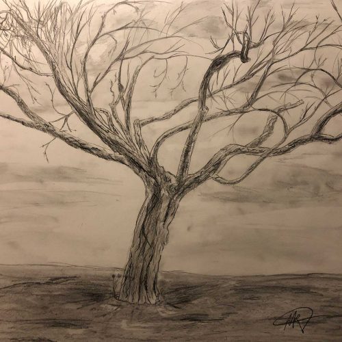 drawing of a tree