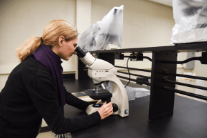 Professor Tanya Cheeke looking in microscope