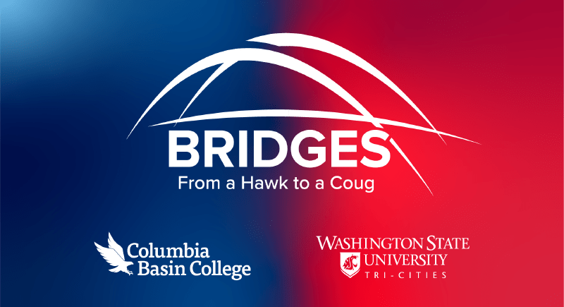 Bridges program logo