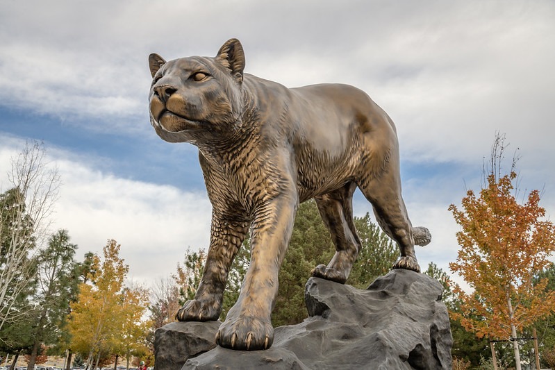 Bronze statue of a Cougar standing on rocks on the WSU Tri-Cities campus