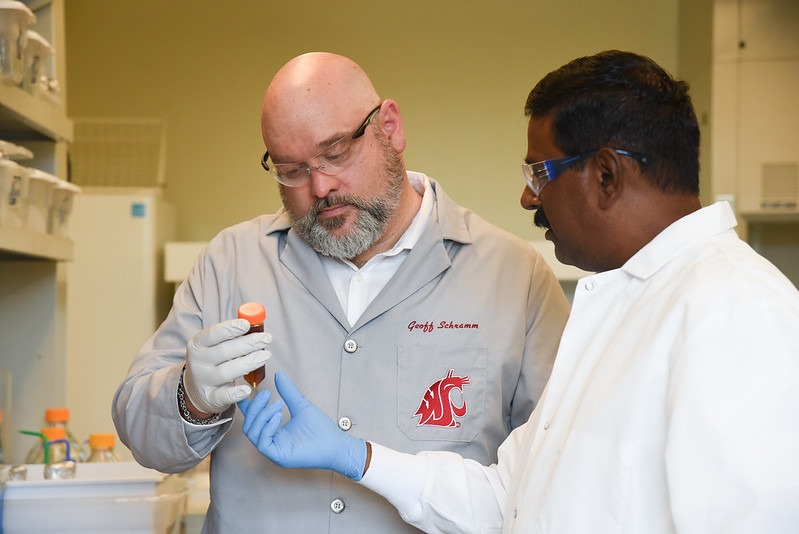 Admissions WSU TriCities