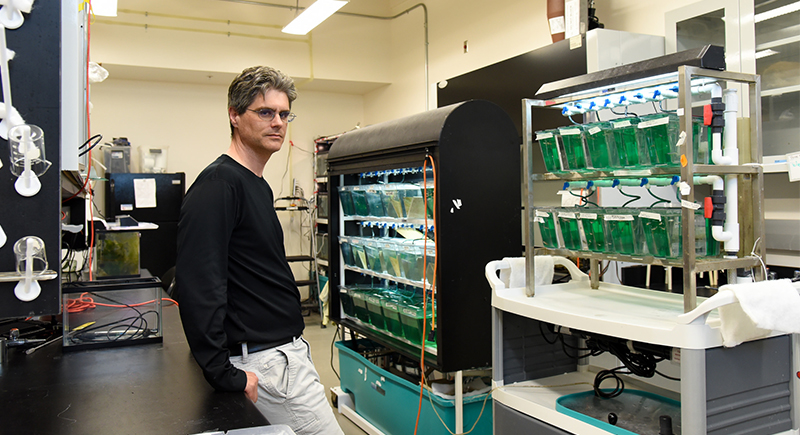 Jim Cooper in his lab at WSU Tri-Cities