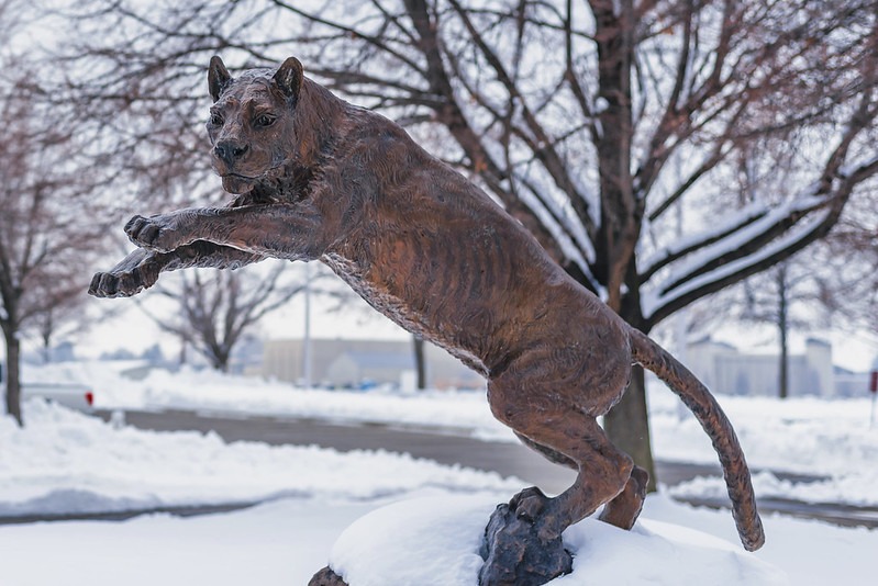 Bronze sculpture of a cougar in the snow.