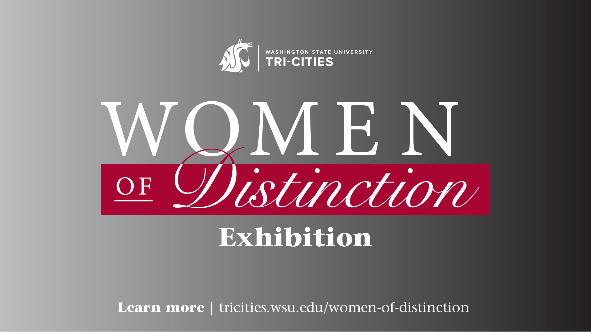 Women of Distinction Exhibition