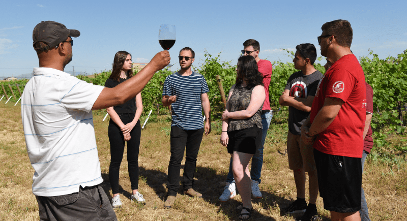 Students at the Albert Ravenholt Research and Teaching Vineyard at WSU Tri-Cities