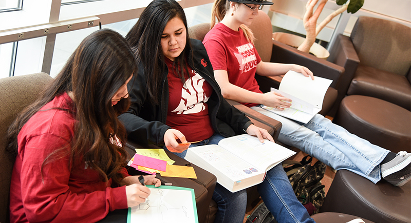 Students studying at WSU Tri-Cities