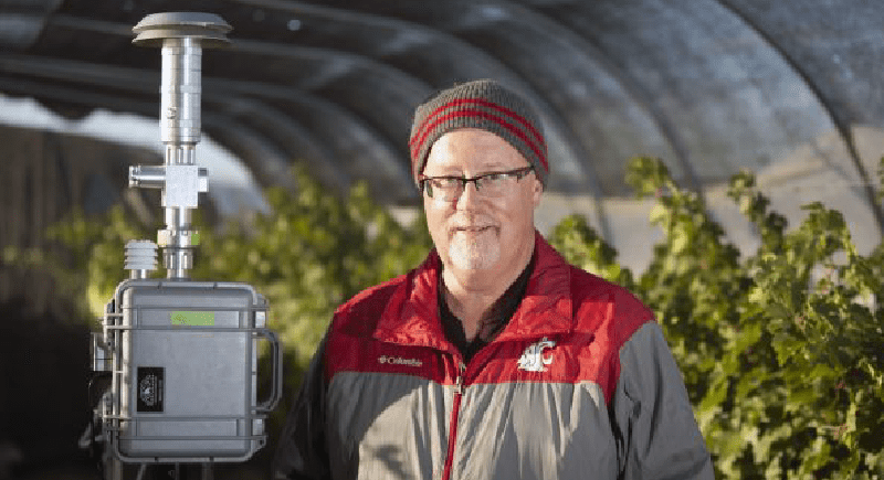 Tom Collins uses shade cloth to cover grapevines and expose grapes to smoke.