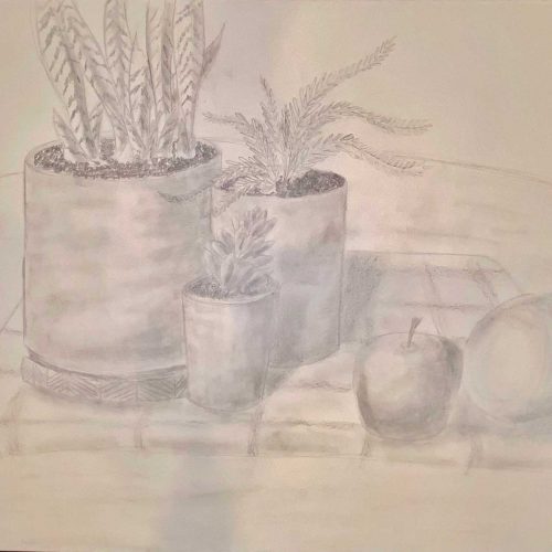 A graphite sketch composing of several potted plants, an apple, and an orange all situated on a plaid fabric.