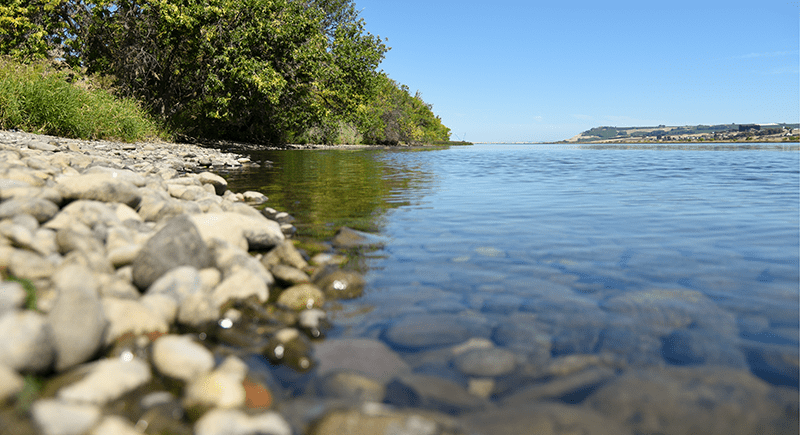Washington River Protection Solutions