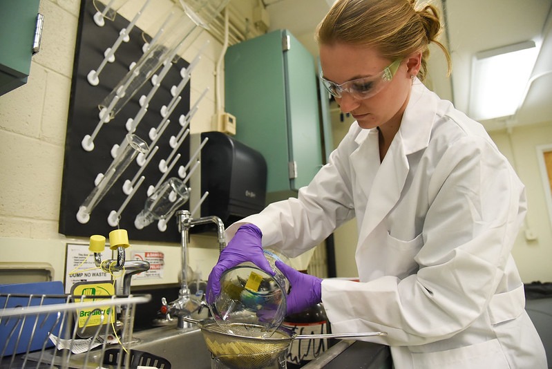 WSU Tri-Cities student Megan Brauner wearing a lab coat, goggles, and gloves pouring research material into a colander.