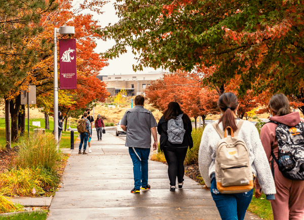 Students walking across a pathway at WSU Tri-Cities
