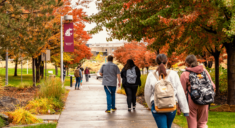 Students walking across a pathway at WSU Tri-Cities