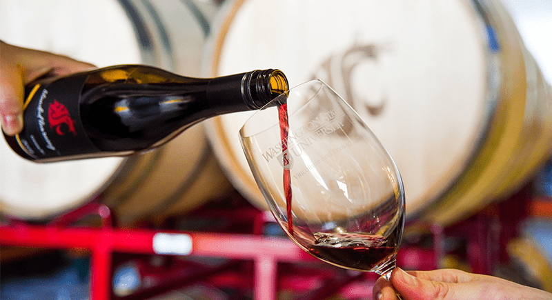 Wine pouring - WSU Tri-Cities Wine Science