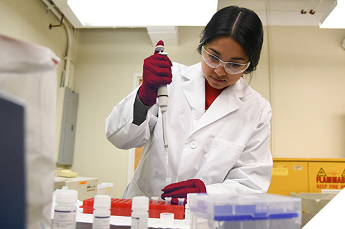 Female student working in the laboratory